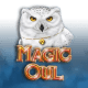 Magic Owl game icon