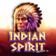 Indian Spirit Deluxe game icon
