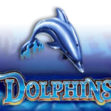 Dolphins