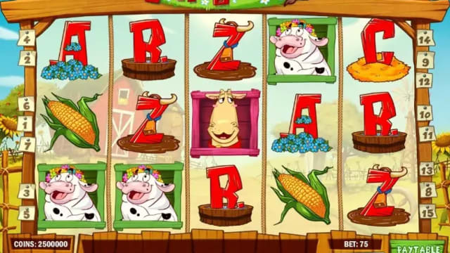 Crazy Cows