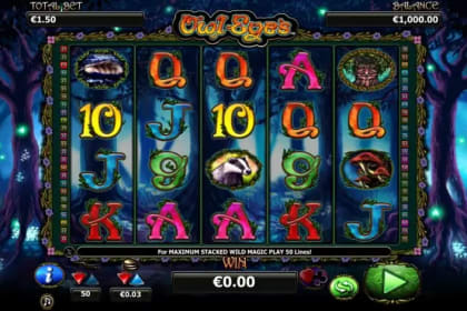 Owl Eyes gameplay image