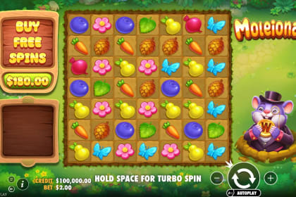 Moleionaire gameplay image