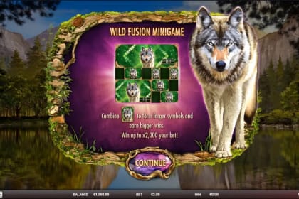 Wild Animals gameplay image