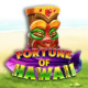Fortune of Hawaii game icon