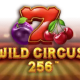 Wild Circus 256 game icon