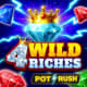 4 Wild Riches game icon