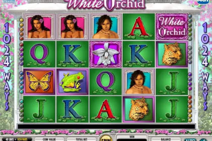 White Orchid gameplay image