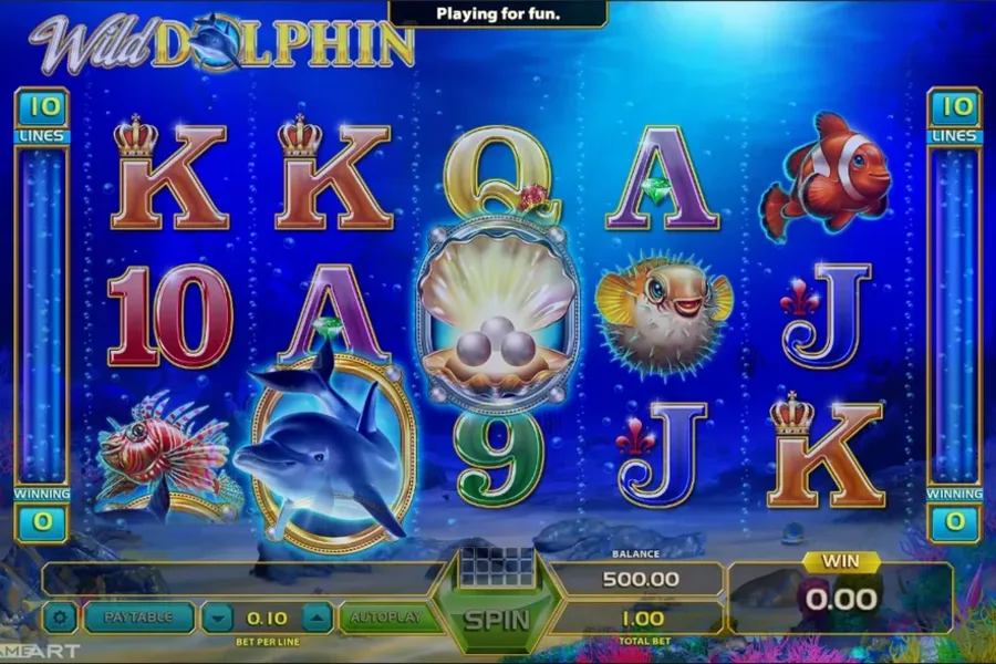 Wild Dolphin