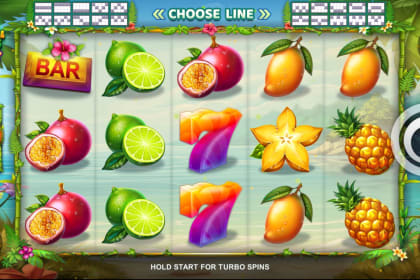 20 Tropical Fruits gameplay image