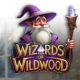 Wizards of Wild Wood game icon