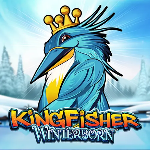 Kingfisher Winterborn