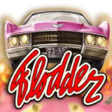 Flodder