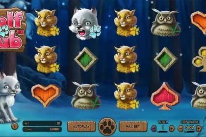 Wolf Cub gameplay image