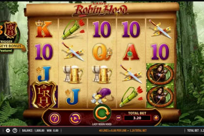 Lady Robin Hood gameplay image