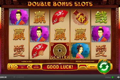 Double Bonus gameplay image