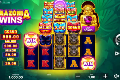 Amazonia Wins gameplay image