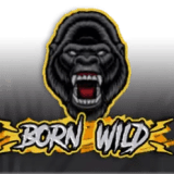 Born Wild