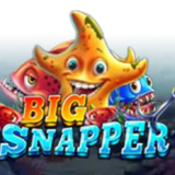 Big Snapper