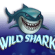 Wild Shark game icon