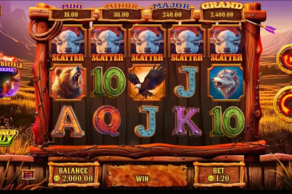 Blazin' Buffalo Extreme gameplay image