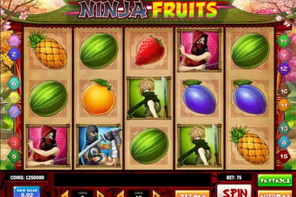 Ninja Fruits gameplay image