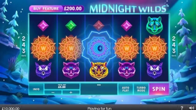 Midnight Wilds