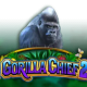 Gorilla Chief2 game icon
