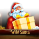 Wild Santa game icon
