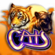 Cats game icon