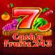 Cash'n Fruits 243 game icon