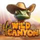 Wild Canyon game icon