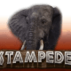 Stampede game icon