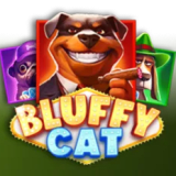 Bluffy Cat