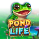 Pond Life game icon