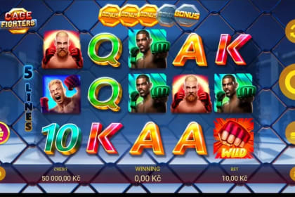 Cage Fighters gameplay image