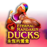 Power Prizes - Eternal Mandarin Ducks