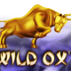 Wild Ox game icon
