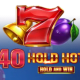 40 Hold Hot Hold And Win game icon
