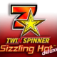 Twin Spinner Sizzling Hot Deluxe game icon