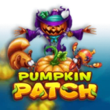 Pumpkin Patch