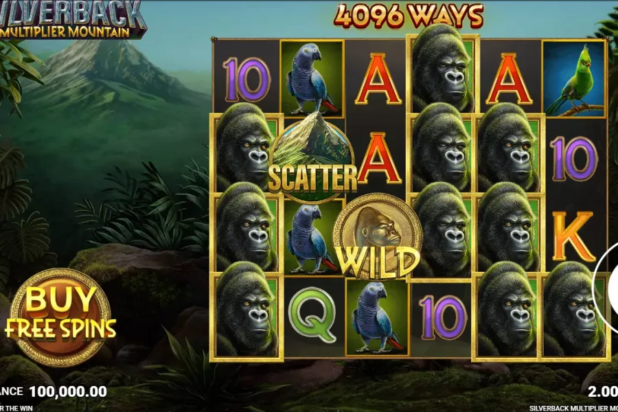 Silverback: Multiplier Mountain