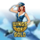 Wings Of Gold game icon