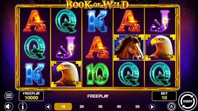 Book Of Wild