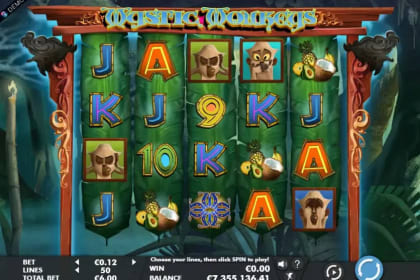 Mystic Monkeys gameplay image