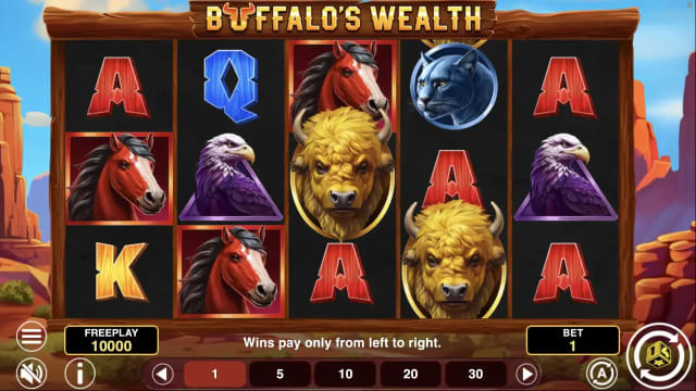 Buffalo’s Wealth