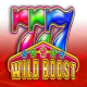 Wild Boost game icon