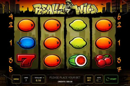 Really Wild gameplay image