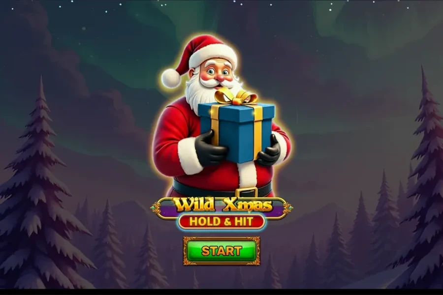 Wild Xmas Hold & Hit
