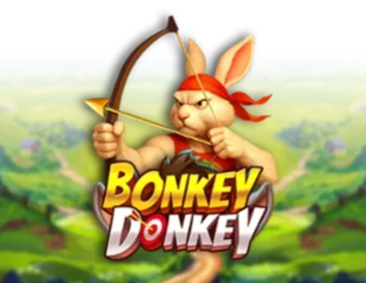 Bonkey Donkey
