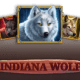 Indiana Wolf game icon
